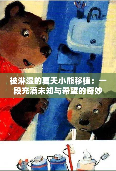 被淋湿的夏天小熊移植：一段充满未知与希望的奇妙旅程