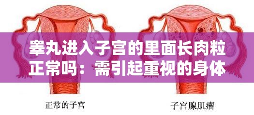 睾丸进入子宫的里面长肉粒正常吗：需引起重视的身体异常状况