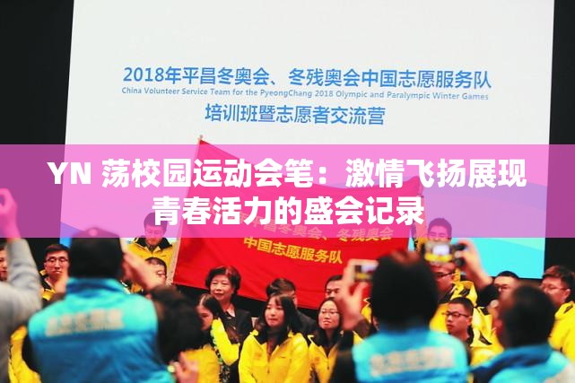 YN 荡校园运动会笔：激情飞扬展现青春活力的盛会记录