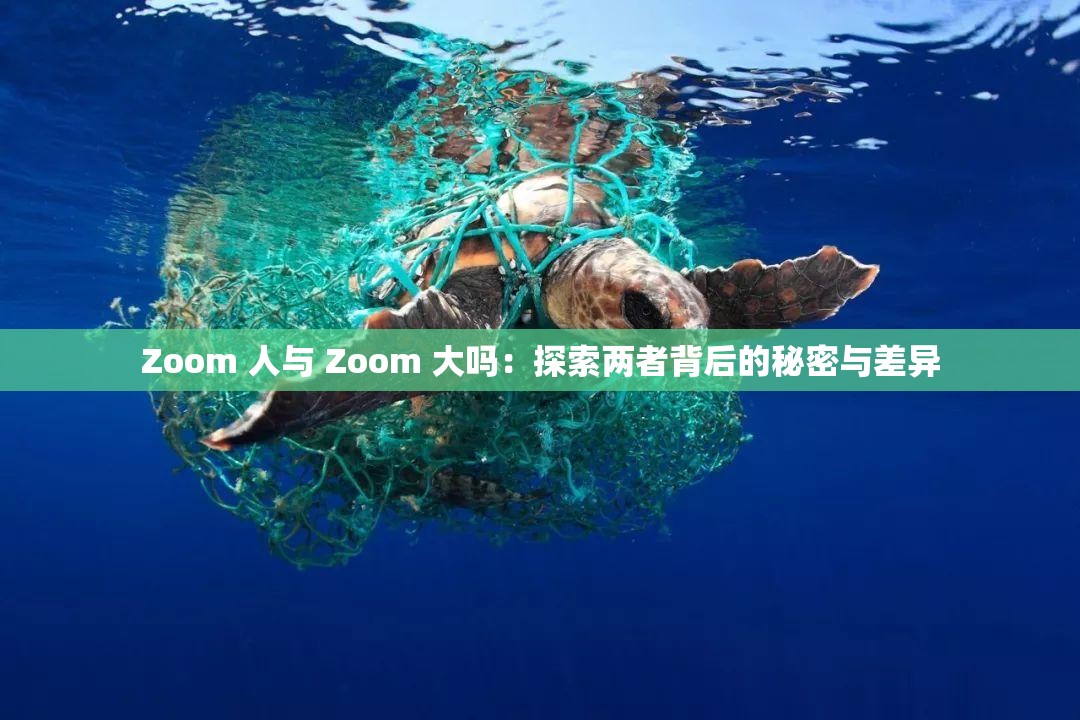 Zoom 人与 Zoom 大吗：探索两者背后的秘密与差异