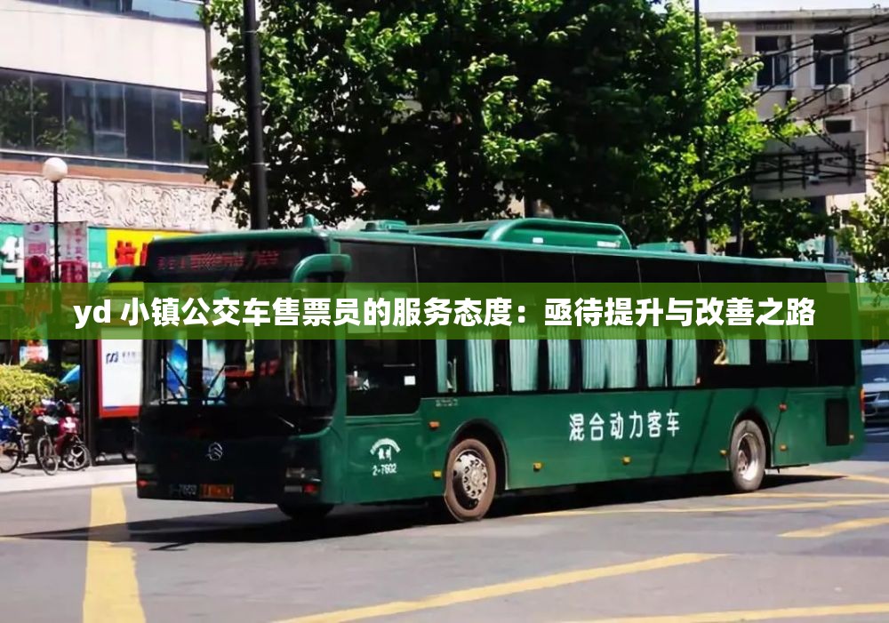yd 小镇公交车售票员的服务态度：亟待提升与改善之路