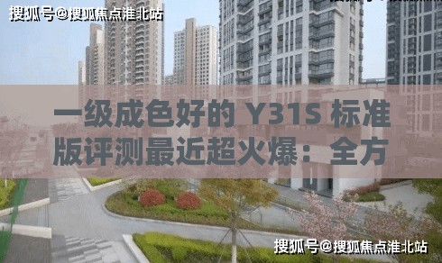 一级成色好的 Y31S 标准版评测最近超火爆：全方位深度解析与体验分享