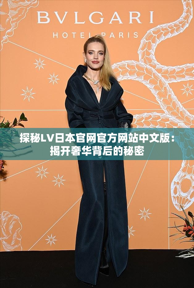 探秘LV日本官网官方网站中文版：揭开奢华背后的秘密