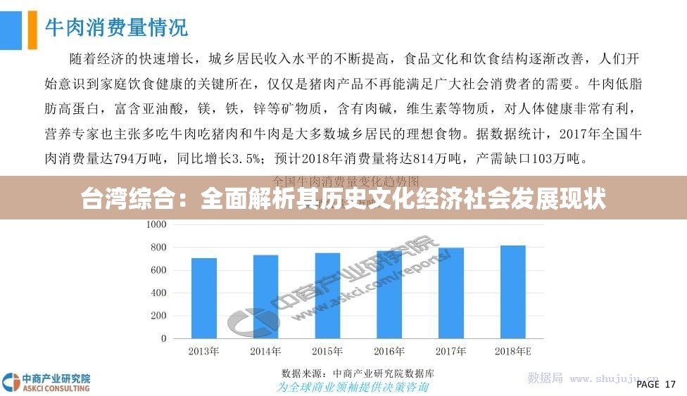 台湾综合：全面解析其历史文化经济社会发展现状