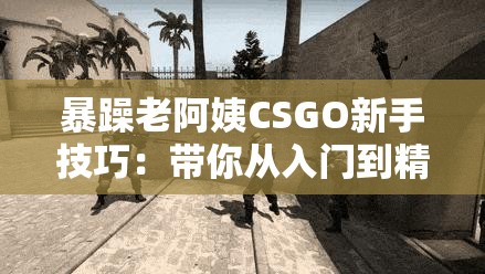 暴躁老阿姨CSGO新手技巧：带你从入门到精通
