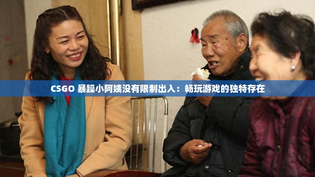 CSGO 暴躁小阿姨没有限制出入：畅玩游戏的独特存在