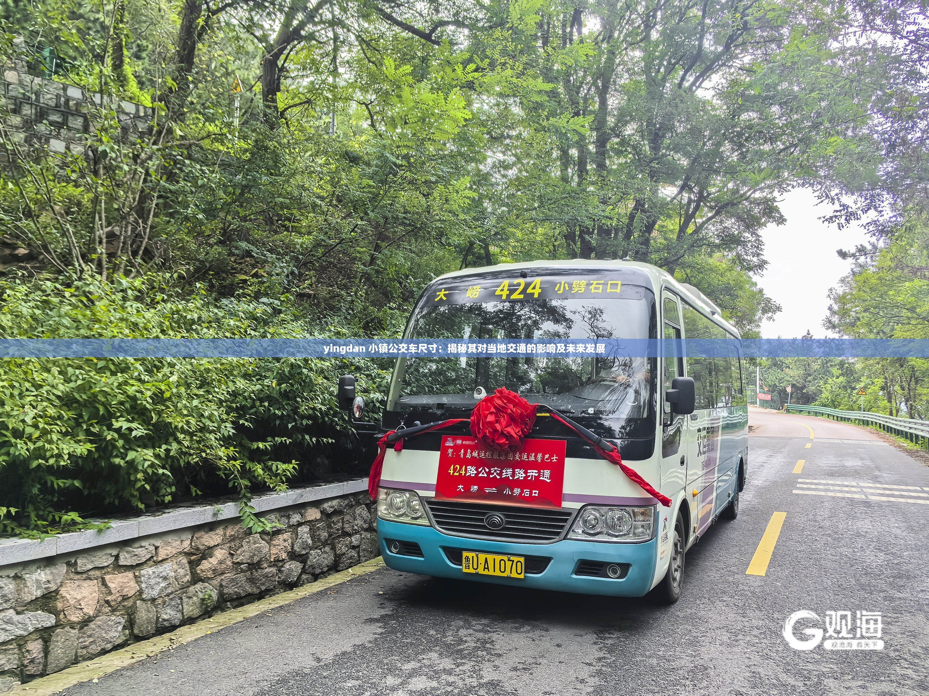 yingdan 小镇公交车尺寸：揭秘其对当地交通的影响及未来发展