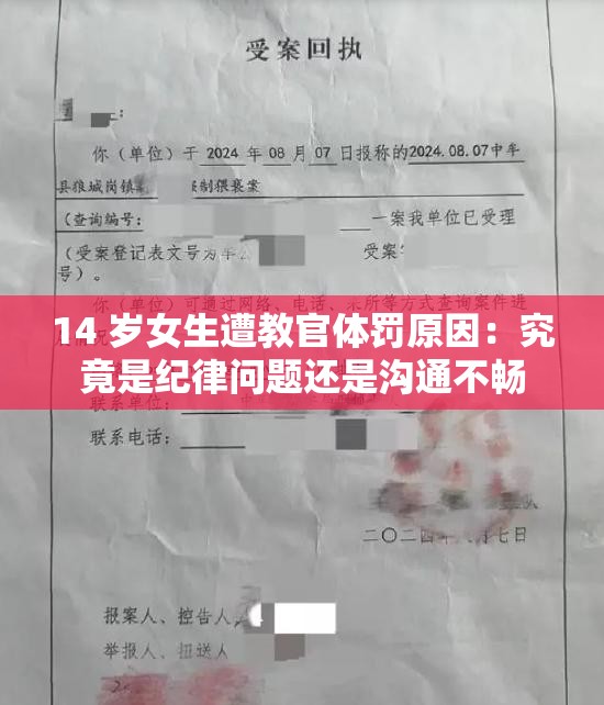 14 岁女生遭教官体罚原因：究竟是纪律问题还是沟通不畅
