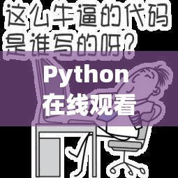 Python 在线观看入口：带你轻松开启编程学习之旅