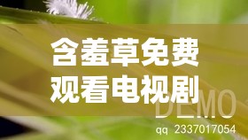 含羞草免费观看电视剧的背景故事：一段扣人心弦的影视传奇