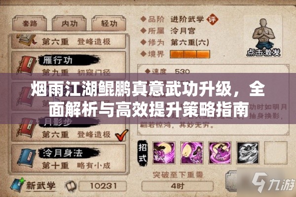 烟雨江湖鲲鹏真意武功升级，全面解析与高效提升策略指南