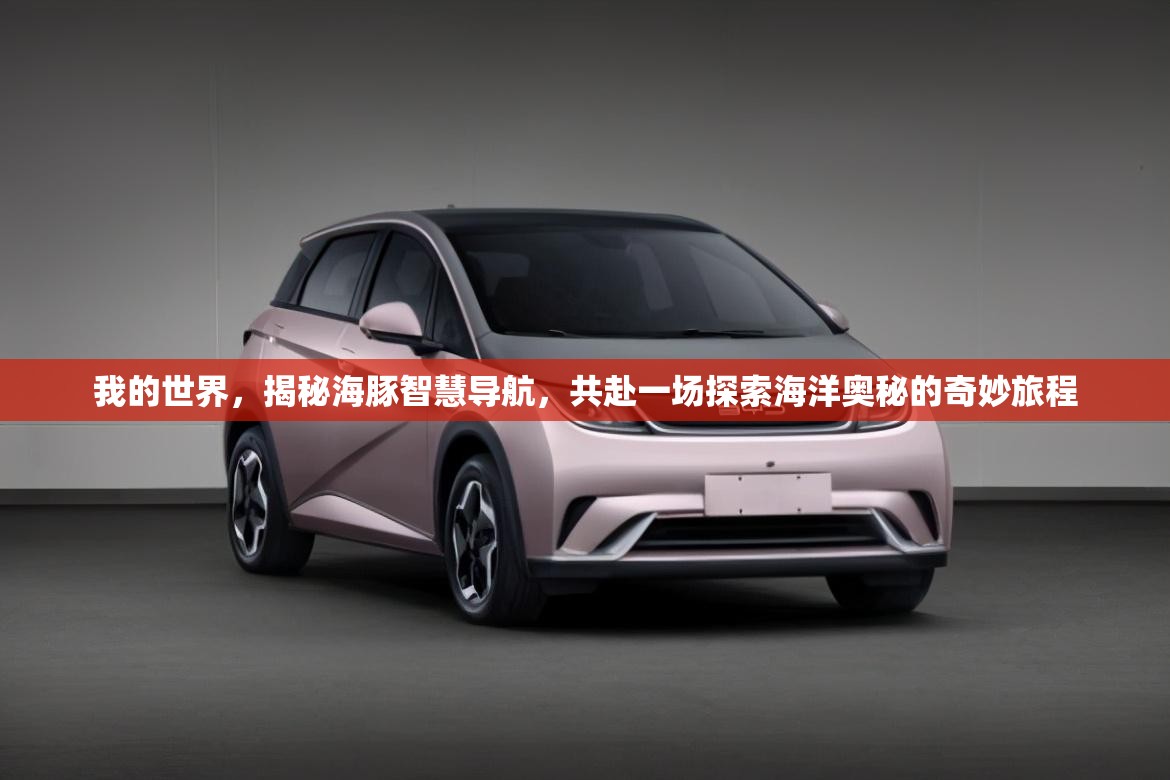 我的世界，揭秘海豚智慧导航，共赴一场探索海洋奥秘的奇妙旅程