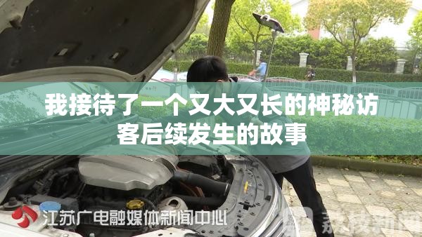 我接待了一个又大又长的神秘访客后续发生的故事