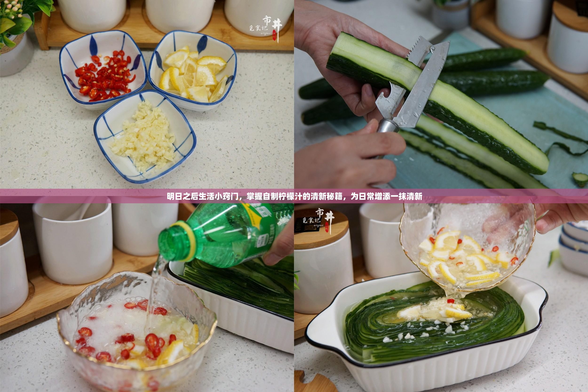 明日之后生活小窍门，掌握自制柠檬汁的清新秘籍，为日常增添一抹清新