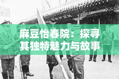 麻豆怡春院：探寻其独特魅力与故事