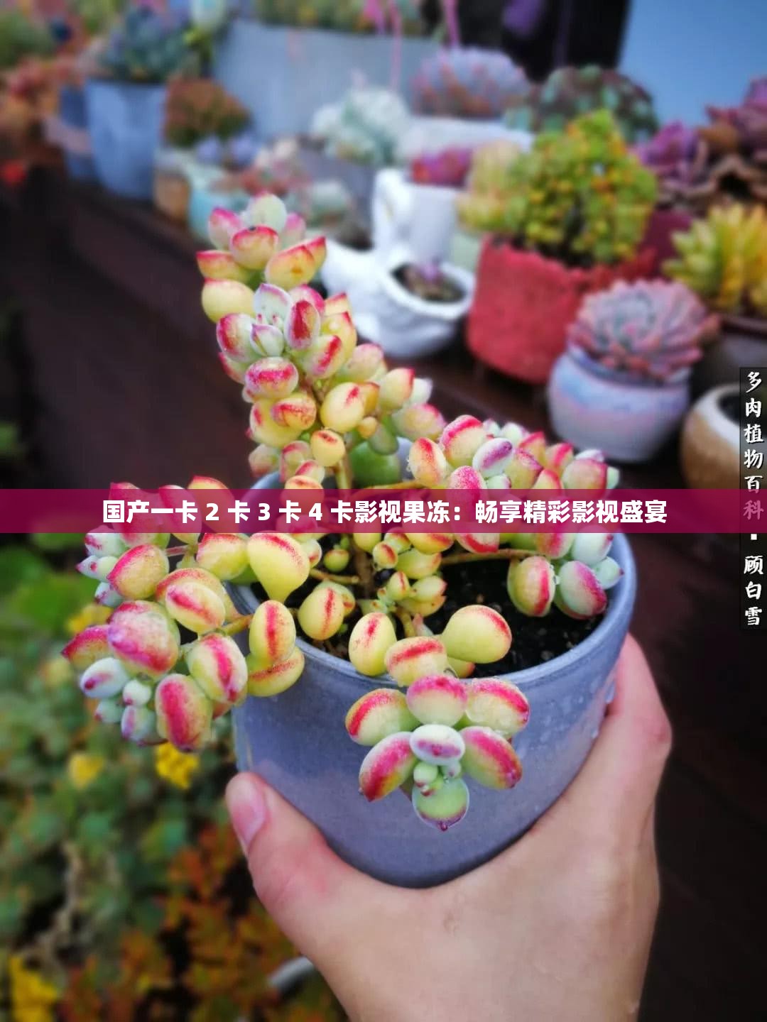 国产一卡 2 卡 3 卡 4 卡影视果冻：畅享精彩影视盛宴