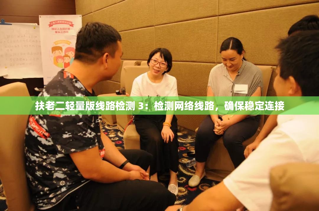 扶老二轻量版线路检测 3：检测网络线路，确保稳定连接