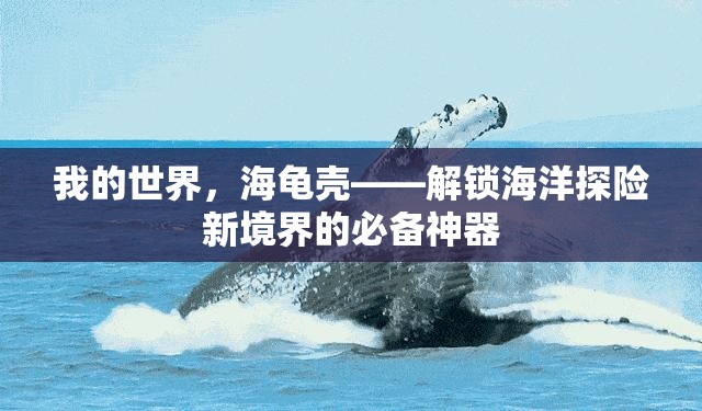 我的世界，海龟壳——解锁海洋探险新境界的必备神器
