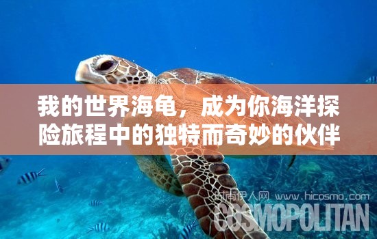 我的世界海龟，成为你海洋探险旅程中的独特而奇妙的伙伴