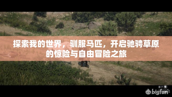探索我的世界，驯服马匹，开启驰骋草原的惊险与自由冒险之旅