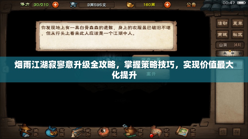 烟雨江湖寂寥意升级全攻略，掌握策略技巧，实现价值最大化提升