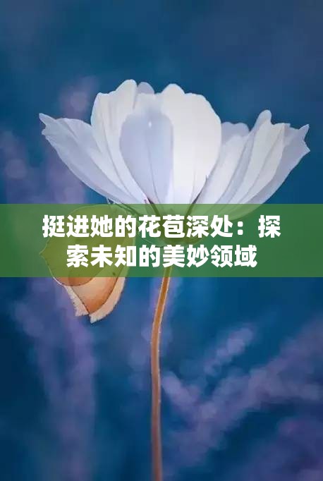 挺进她的花苞深处：探索未知的美妙领域