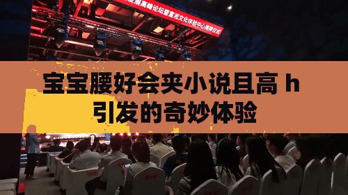 宝宝腰好会夹小说且高 h 引发的奇妙体验