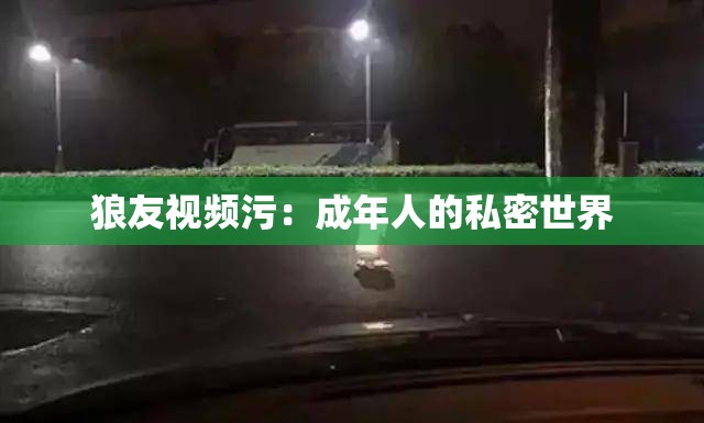 狼友视频污：成年人的私密世界