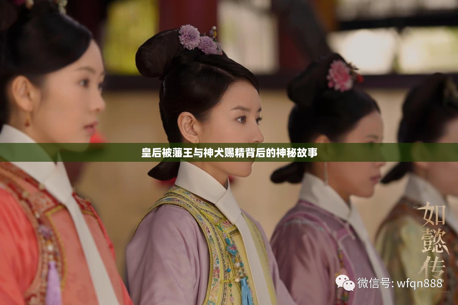 皇后被藩王与神犬赐精背后的神秘故事