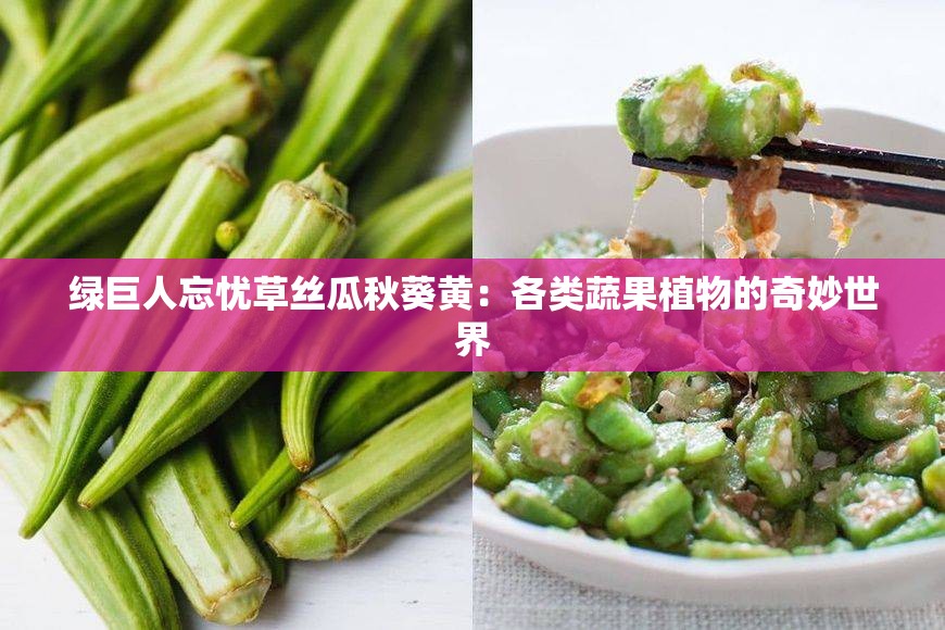 绿巨人忘忧草丝瓜秋葵黄：各类蔬果植物的奇妙世界