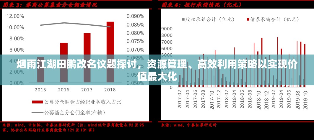 烟雨江湖田鹏改名议题探讨，资源管理、高效利用策略以实现价值最大化