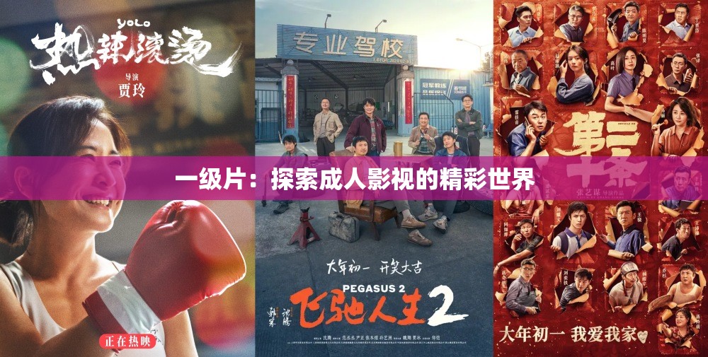 一级片：探索成人影视的精彩世界