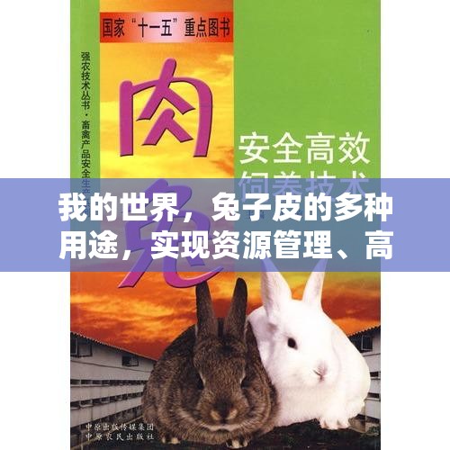我的世界，兔子皮的多种用途，实现资源管理、高效利用及避免材料浪费策略