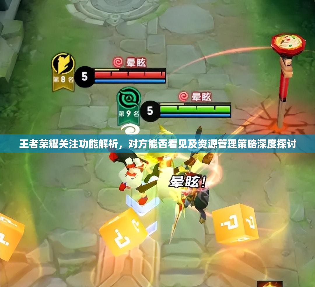 王者荣耀关注功能解析，对方能否看见及资源管理策略深度探讨
