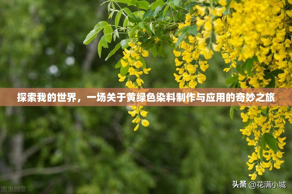 探索我的世界，一场关于黄绿色染料制作与应用的奇妙之旅