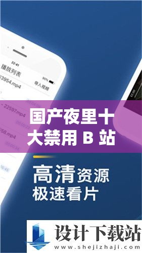 国产夜里十大禁用 B 站 APP：相关内容介绍及注意事项