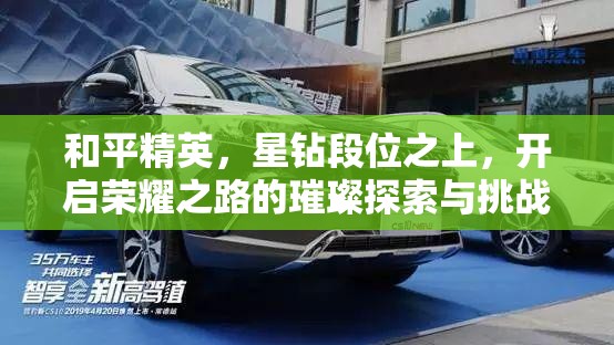 和平精英，星钻段位之上，开启荣耀之路的璀璨探索与挑战