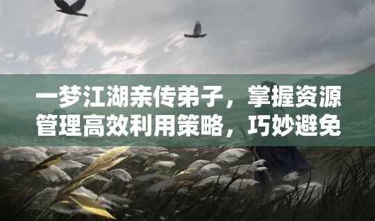 一梦江湖亲传弟子，掌握资源管理高效利用策略，巧妙避免资源浪费
