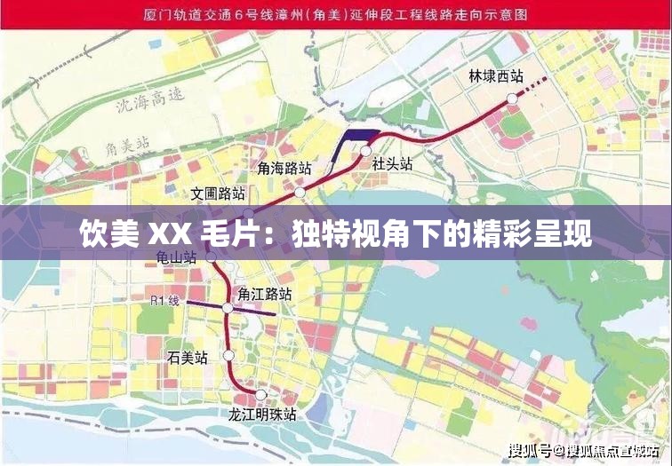 饮美 XX 毛片：独特视角下的精彩呈现