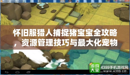 怀旧服猎人捕捉猪宝宝全攻略，资源管理技巧与最大化宠物价值指南