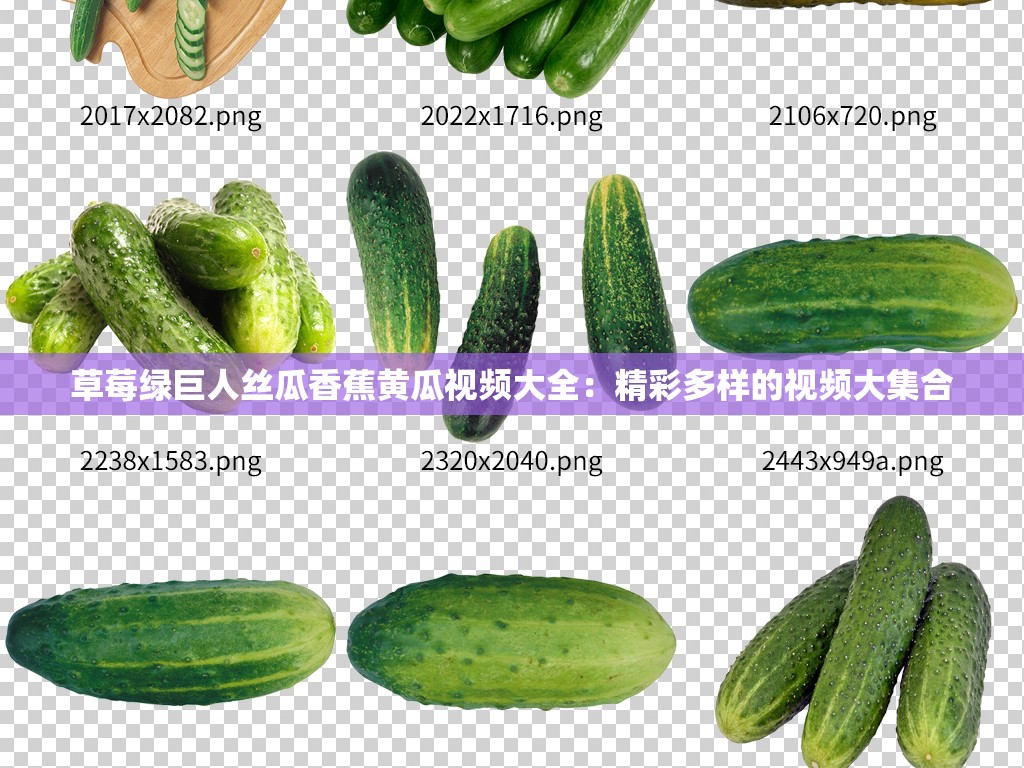 草莓绿巨人丝瓜香蕉黄瓜视频大全：精彩多样的视频大集合