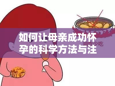 如何让母亲成功怀孕的科学方法与注意事项