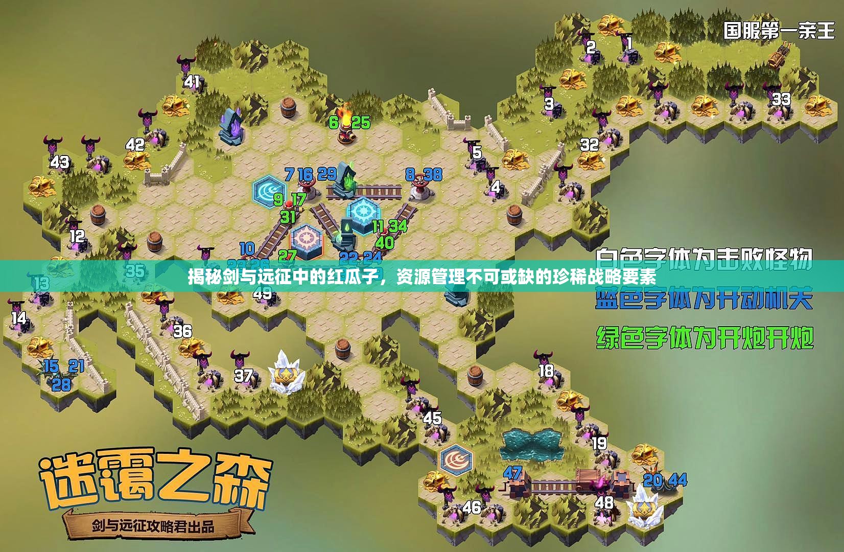 揭秘剑与远征中的红瓜子，资源管理不可或缺的珍稀战略要素