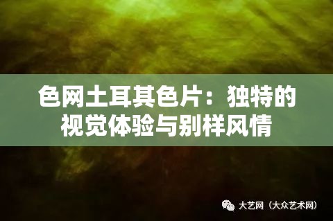 色网土耳其色片：独特的视觉体验与别样风情