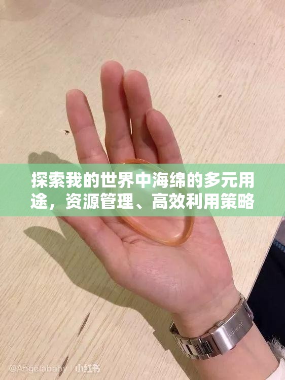 探索我的世界中海绵的多元用途，资源管理、高效利用策略及避免资源浪费技巧