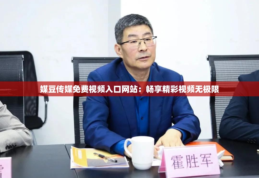 媒豆传媒免费视频入口网站：畅享精彩视频无极限