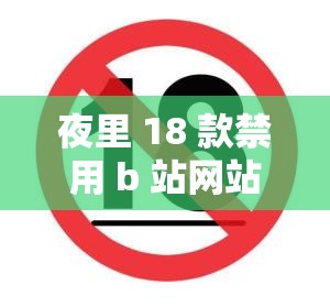 夜里 18 款禁用 b 站网站：未成年人禁止浏览