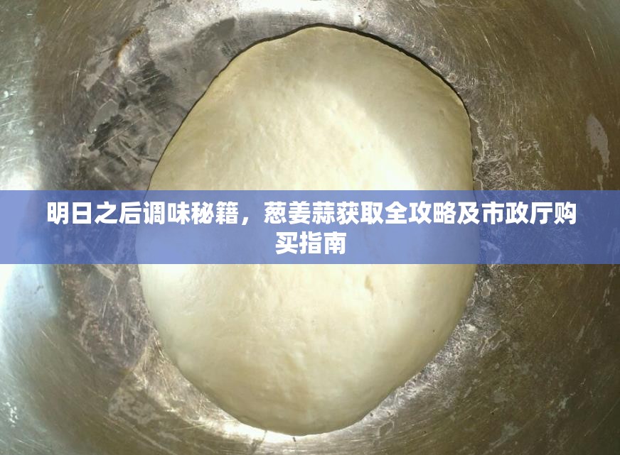 明日之后调味秘籍，葱姜蒜获取全攻略及市政厅购买指南