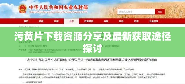 污黄片下载资源分享及最新获取途径探讨