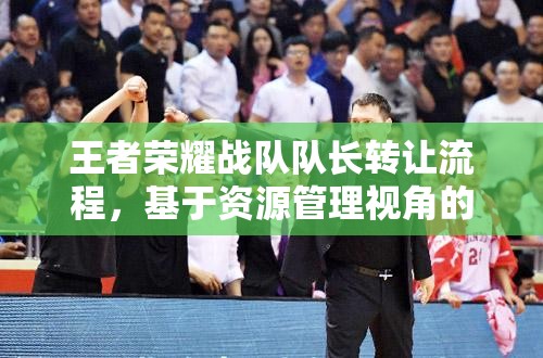 王者荣耀战队队长转让流程，基于资源管理视角的深度解析与指导